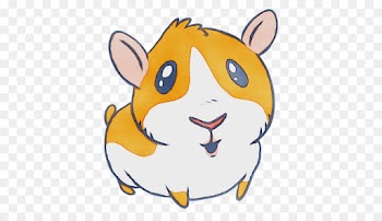 Hamster