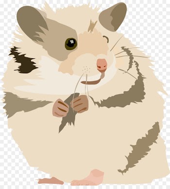 Hamster, Gerbil, Golden Hamster, Cartoon PNG