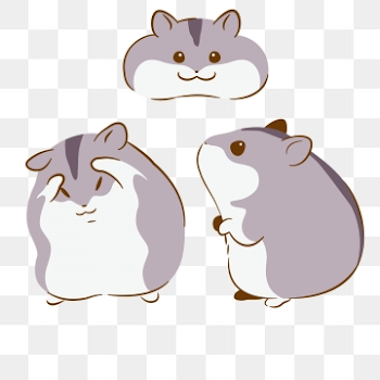 Hamsters PNG Images | Vector and PSD Files | Free Download on Pngtree