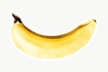 Hand colored banana sticker design element with white border | Free  transparent png - 2342871