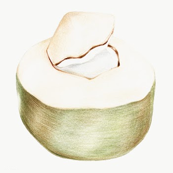 Hand colored coconut overlay | Free  transparent png - 2341136
