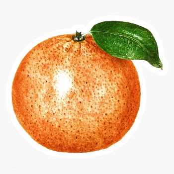 Hand colored orange sticker design element with white border | Free  transparent png - 2342868