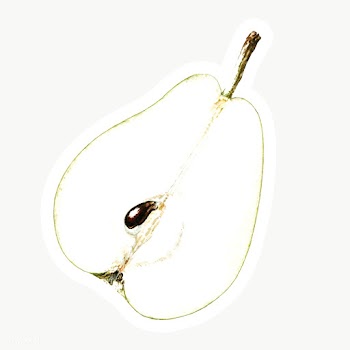 Hand colored pear fruit sticker with a white border | Free  transparent png - 2354487