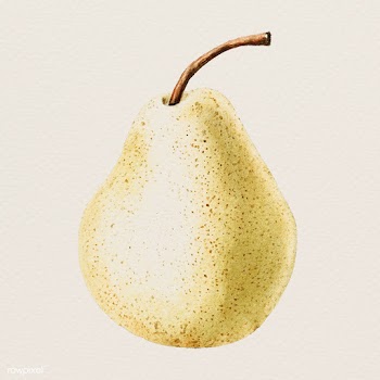 Hand colored pear illustration | Free  illustration - 2341355
