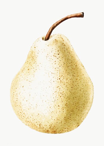Hand colored pear overlay | Free  transparent png - 2341354
