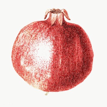 Hand colored red pomegranate fruit design element | Free  transparent png - 2352195