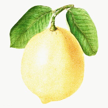 Hand colored yellow lemon fruit design element | Free  transparent png - 2354473