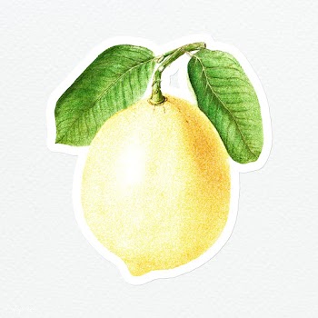 Hand colored yellow lemon fruit sticker with a white border | Free  illustration - 2354450