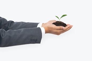 Hand cupping plant soil save the environment… | Free stock photo | High Resolution image