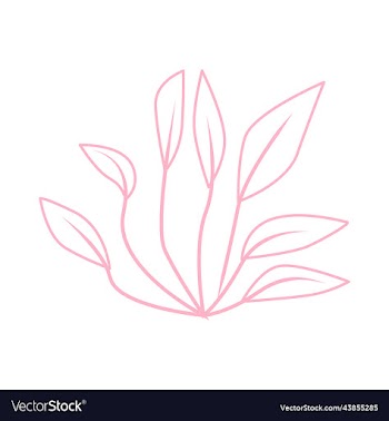 hand draw botanical summer plant