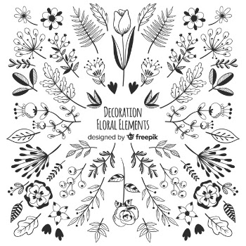 Hand draw floral decoration elements Free Vector