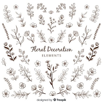 Hand draw floral decoration elements Free Vector
