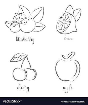 hand draw frutis