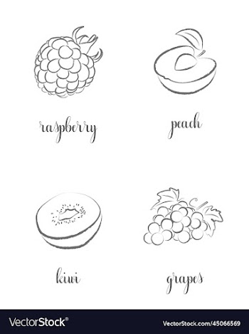 hand draw frutis