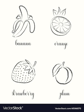 hand draw frutis