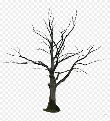 Hand Draw Sketch Dead Tree Simple 40484093 How To A - Beautiful Sceneries Of Nature At Night
