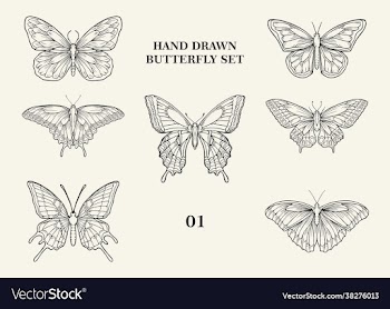 hand drawing butterfly set 01