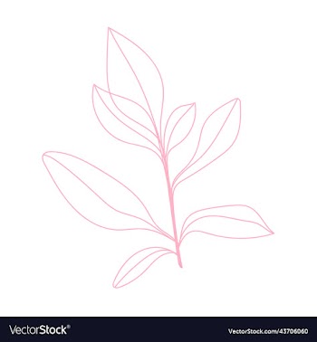 hand drawing silhouette natural plants