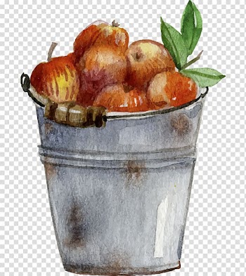 Hand-drawn autumn elements transparent background PNG clipart