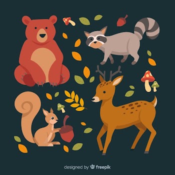 Hand drawn autumn forest animals collection Free Vector