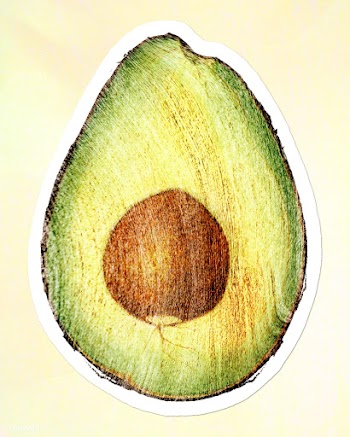 Hand drawn avocado sticker design element | Free  illustration - 2349797