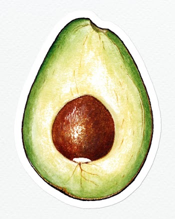 Hand drawn avocado sticker design element | Free  illustration - 2349804