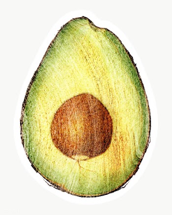 Hand drawn avocado sticker design element | Free  transparent png - 2349820