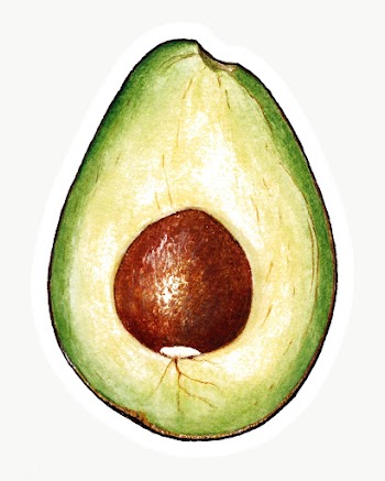 Hand drawn avocado sticker design element | Free  transparent png - 2349827