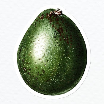Hand drawn avocado sticker overlay with a white border | Free  illustration - 2346963