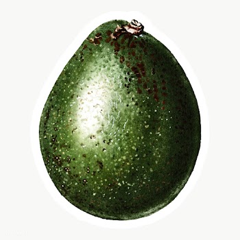 Hand drawn avocado sticker overlay with a white border | Free  transparent png - 2346969