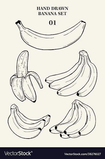hand drawn banana set 01