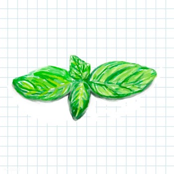 Hand drawn basil watercolor style | Free stock vector - 393339