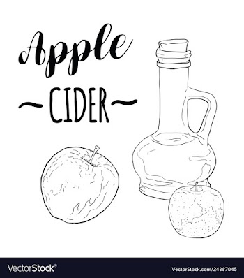 Hand drawn black and white green apple cider vector image