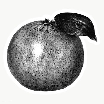 Hand drawn black and white orange sticker with white border | Free  transparent png - 2342860