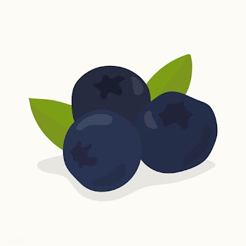 Hand drawn blueberry fruit illustration | Free stock vector - 417018