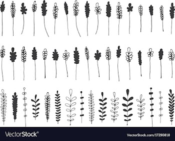 hand drawn botanical decorative design elements