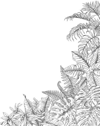 Hand drawn branches and leaves of tropical plants. Corner background with space for text. Monstera, fern, palm fronds sketch. Black and white illustration coloring page for adult.