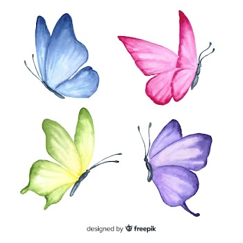 Hand drawn butterfly set Free Vector