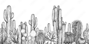 Hand drawn cactuses