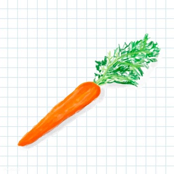 Hand drawn carrot watercolor style | Free stock vector - 393029