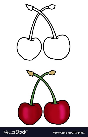 hand drawn cherry fruit