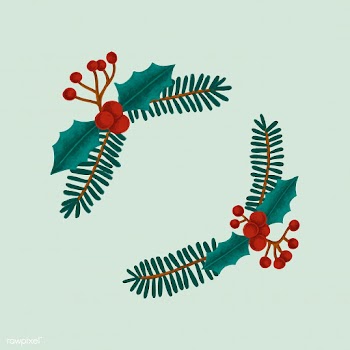 Hand drawn Christmas holly berry | Free stock vector - 488697