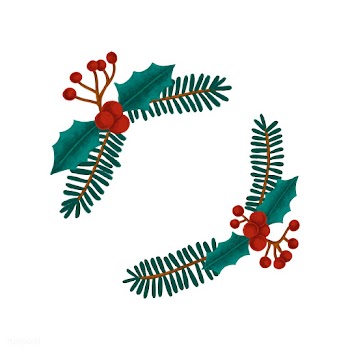 Hand drawn Christmas holly berry | Free stock vector - 488849