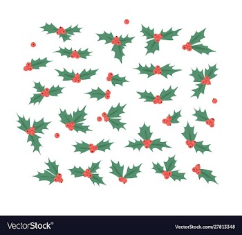 Hand drawn christmas holly on white background vector image