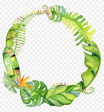 Hand Drawn Circle Png Transparent With Leaves - Tropical Leaf Wreath
