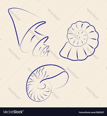 Hand drawn collection of various seashells vector image
