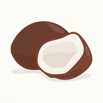 Hand drawn colorful coconut illustration | Free stock vector - 417001