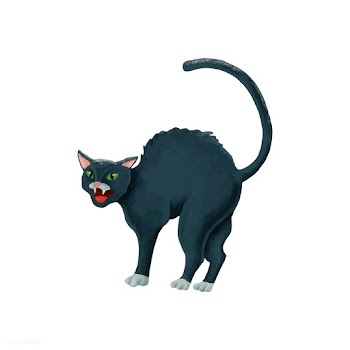 Hand drawn crazy black cat | Free stock vector - 469109