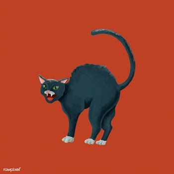 Hand drawn crazy black cat | Free stock vector - 469121