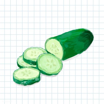 Hand drawn cucumber watercolor style | Free stock vector - 393032